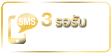 regis3-รองรับ